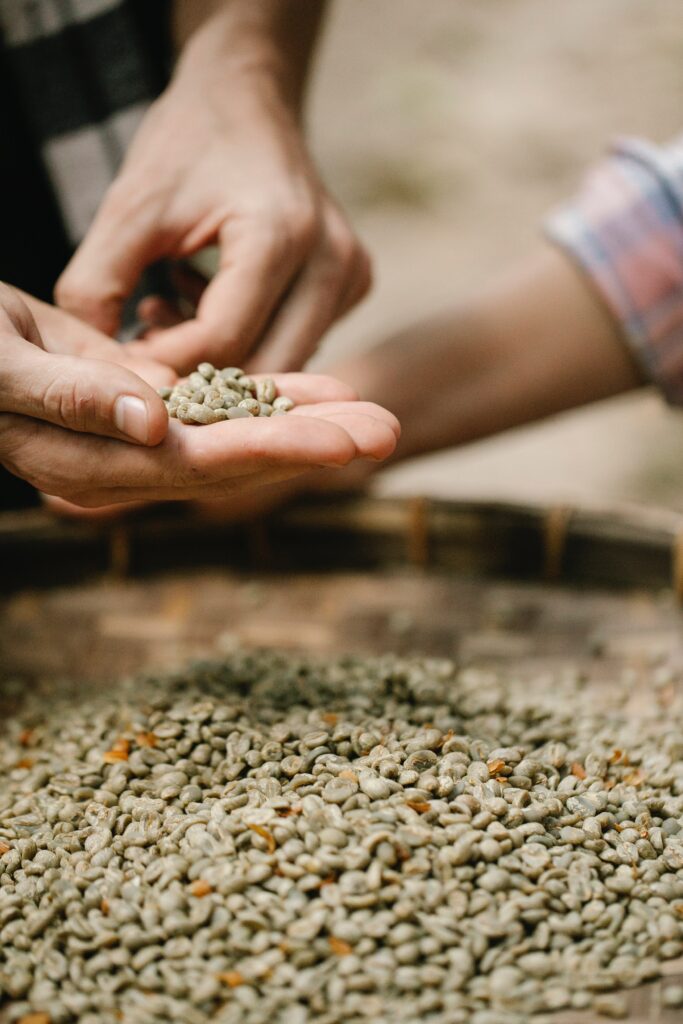 Green coffee oil for skin