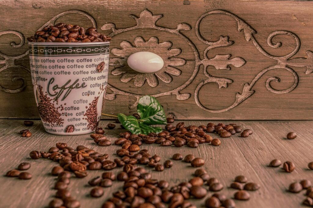 Coffee seed extract for skin