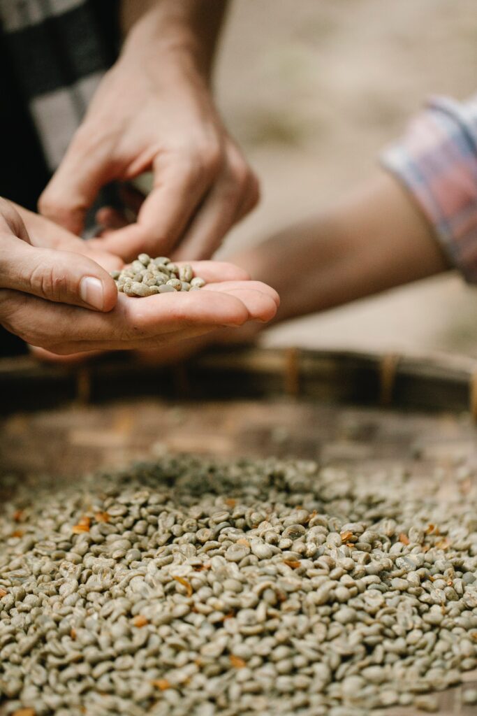 Green coffee benefits for skin