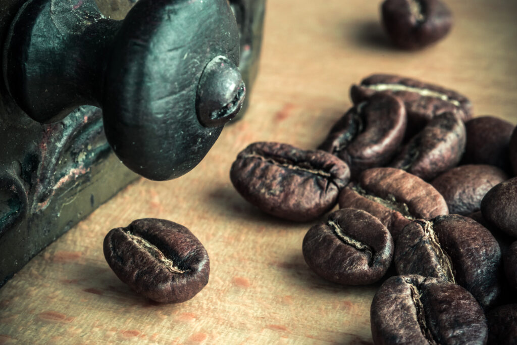 How does green coffee bean work for weight loss?