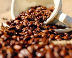 Coffee ground for skin tightening