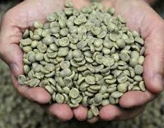 Green coffee benefits