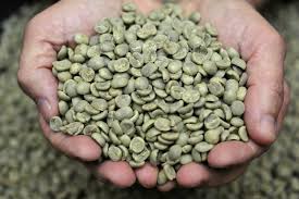 Green coffee benefits