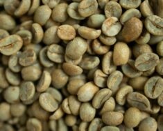 Is green coffee good for skin and hair?